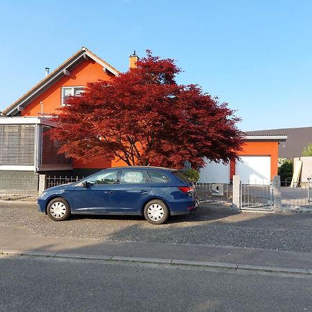 Sonnige Ferienwohnung Bei Familie Koehler Kappel-Grafenhausen Exterior foto